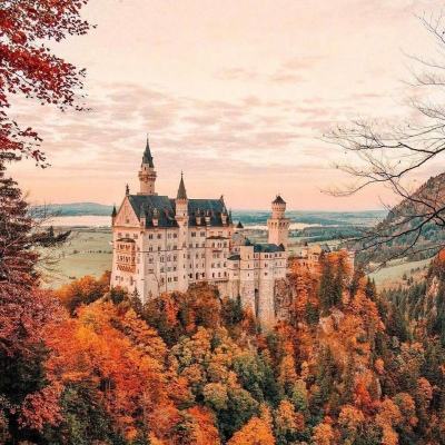 星空官方网站下载app