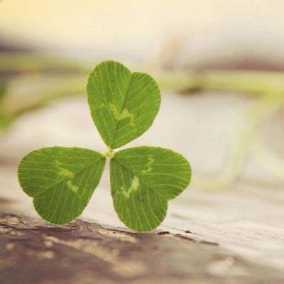 im电竞平台下载手机版