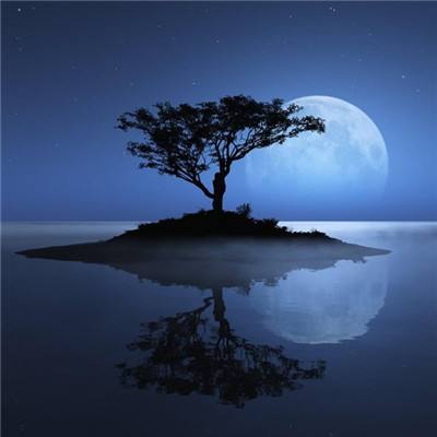 56677彩票app下载